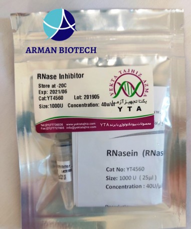 آنزیم محدود کننده RNase یا (Rnase inhibitor (Rnasin محصولی از یکتا تجهیز