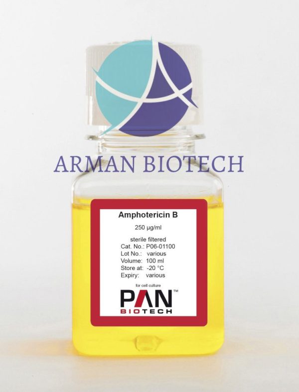 آمفوتریسین بی (ضد قارچ) محصول PAN Biotech آلمان (Amphotericin B, 250 µg/ml)