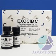 کیت استخراج اگزوزوم از 100ml محیط کشت (اگزوسیب Exocib C)، محصول Cib Biotech