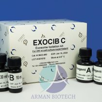 کیت استخراج اگزوزوم از 450ml محیط کشت (اگزوسیب Exocib C)، محصول Cib Biotech