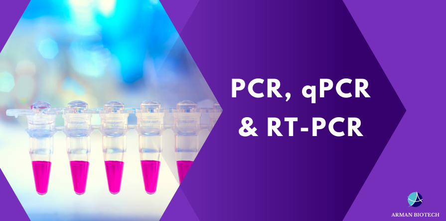  PCR, qPCR & RT-PCR