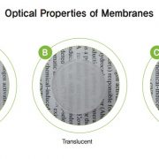 Optical Properties of Membranes