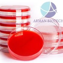 پلیت آماده محیط کشت میکروبی Blood Agar، چهار سایز، محصول تالی ژن