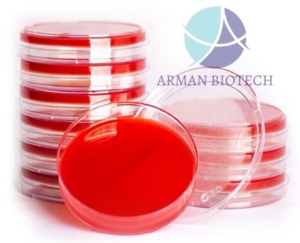 پلیت آماده محیط کشت میکروبی Blood Agar، چهار سایز، محصول تالی ژن