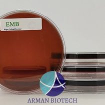 پلیت آماده محیط کشت میکروبی EMB Agar، چهار سایز، محصول تالی ژن
