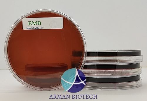 پلیت آماده محیط کشت میکروبی EMB Agar، چهار سایز، محصول تالی ژن