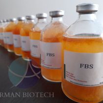 FBS یا سرم جنین گاوی در حجم های مختلف محصول ژنیکس