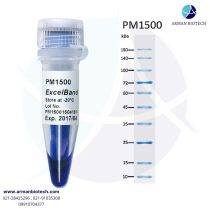 مارکر پروتئینی PM1500، رنج 9 تا 180 کیلو دالتون، تک رنگ آبی pre-stained، محصول SMOBIO