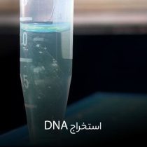 استخراج DNa , خرید کیت استخراج DNA آنلاین