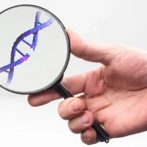 روش های سنجش کیفیت DNA استخراج شده