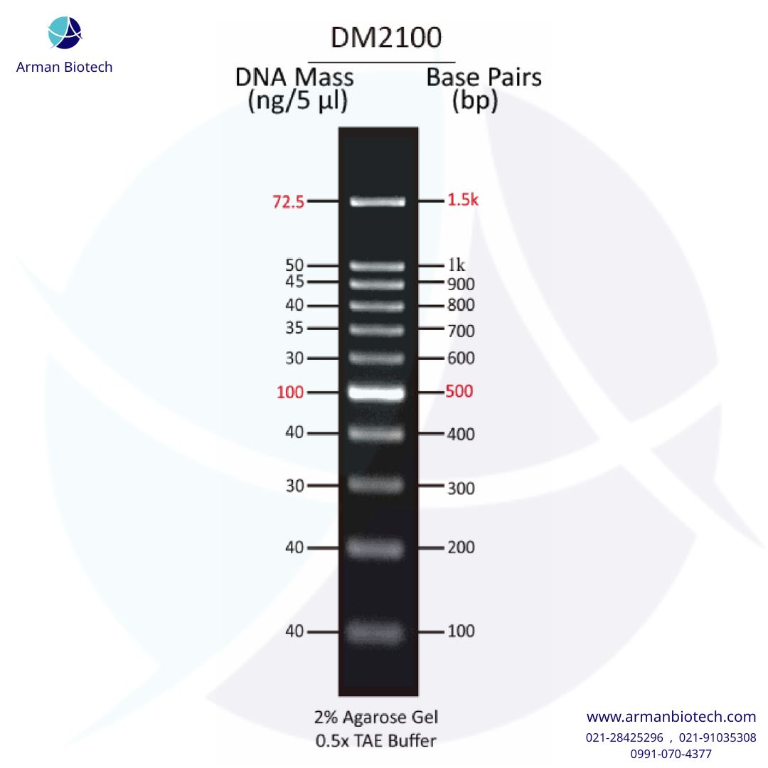 Dm2100 لدر DNA 100bp محصول اسمو بایو، 500μl، کت نامبر DM2100 ⚡️